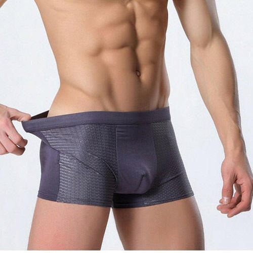 Ice silk men's underwear mesh boxer - muscleflexzone