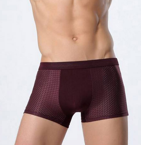 Ice silk men's underwear mesh boxer - muscleflexzone
