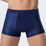Ice silk men's underwear mesh boxer - muscleflexzone