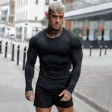 Men's Skinny Quick Dry Fitness Sports T-Shirt - muscleflexzone